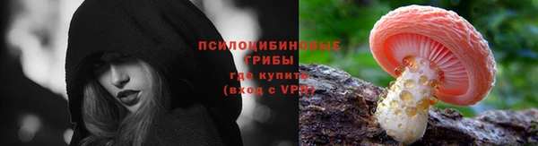 гидра Белокуриха