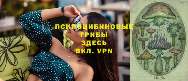гидра Белокуриха