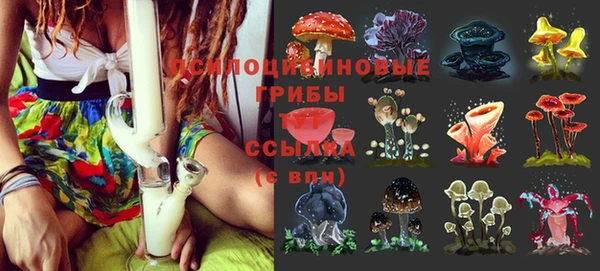 прущий лед Белоозёрский