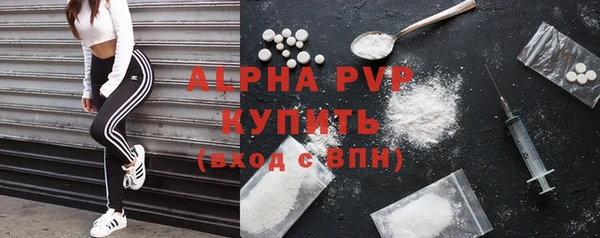 гидра Белокуриха