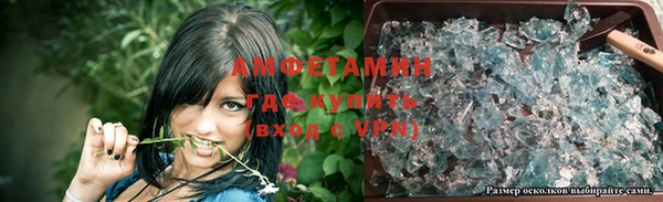 гидра Белокуриха