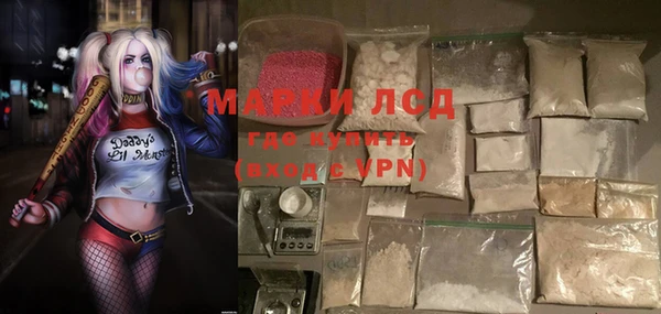гидра Белокуриха